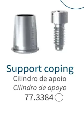Cilindro de apoio (77.3384)