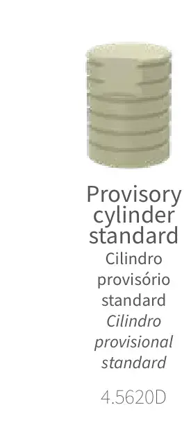Cilindro provisório standard (4.5620D)