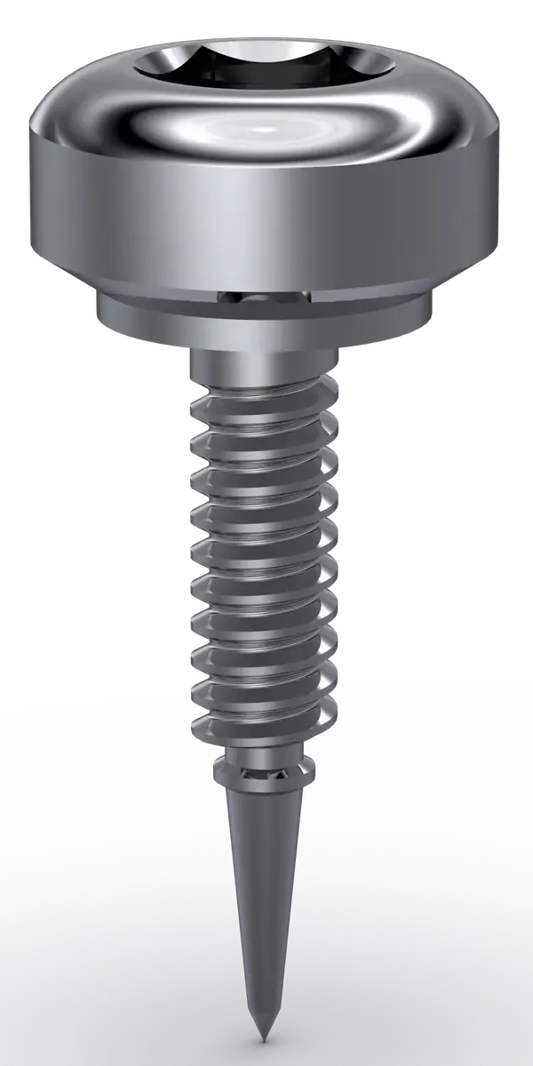 Tachinha Rosqueável H4